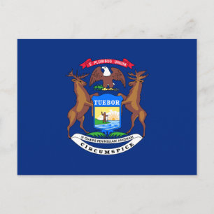 Staten Michigan Flagga Vykort