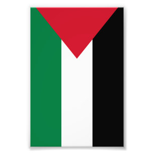 Staten Palestina land flagga Fototryck