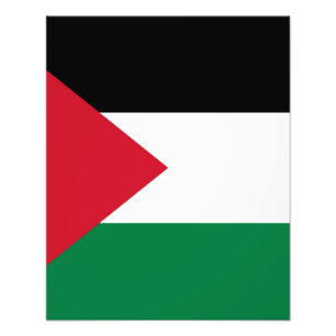 Staten Palestina land flagga Fototryck