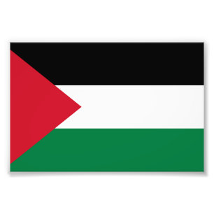 Staten Palestina land flagga Fototryck