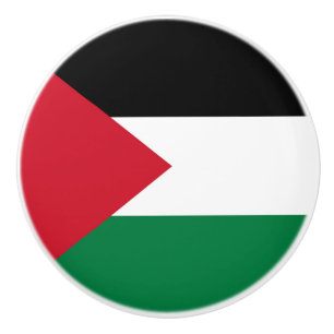 Staten Palestina land flagga Knopp