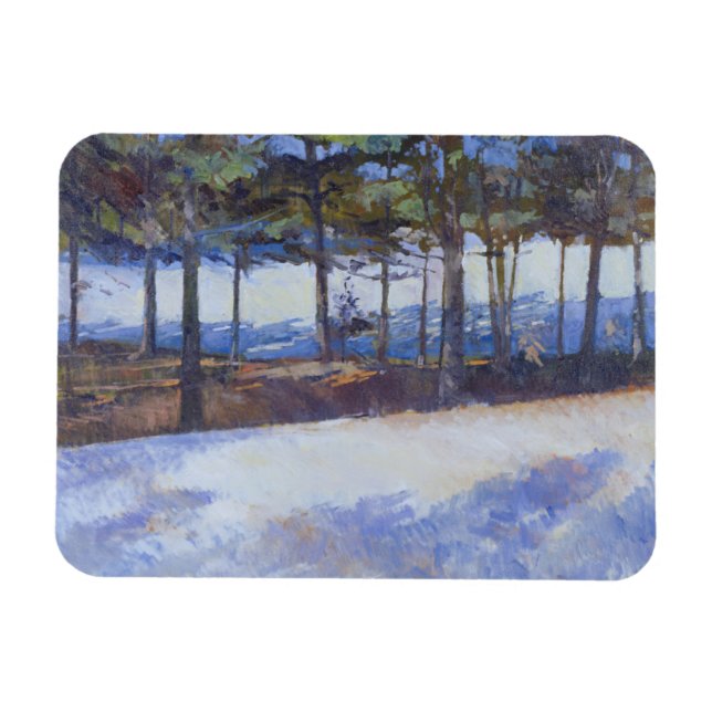 Staten Sjö New York, fryst Magnet (Horisontell)