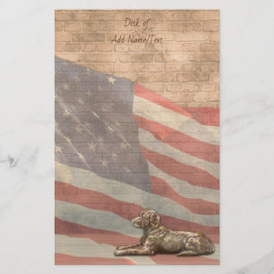 Stationär amerikanska flagganhund
