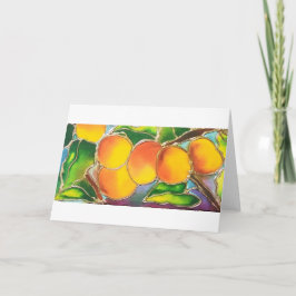 STATIONÄR FÖR APRICOT CHEESERIES KORT