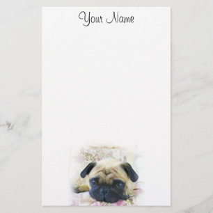 Stationär mops