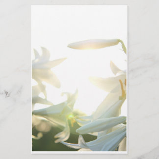 Stationär morgonglädje