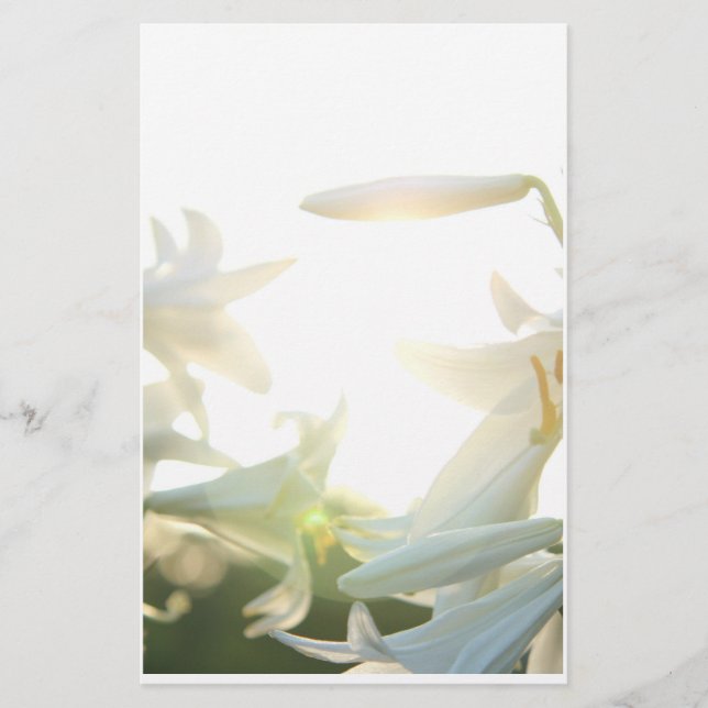 Stationär morgonglädje (Framsida)