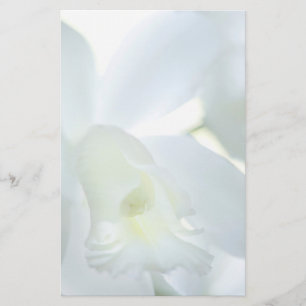 Stationär Orchid