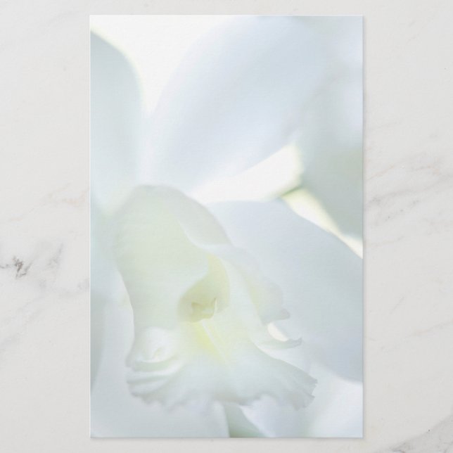 Stationär Orchid (Framsida)