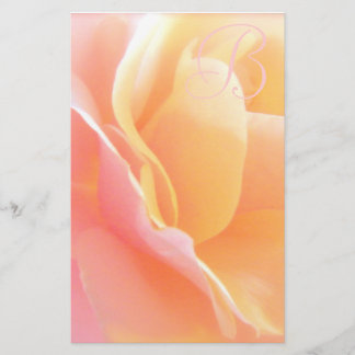 Stationär rosa Monogram