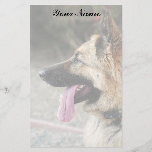 Stationär tysk herde (Framsida)