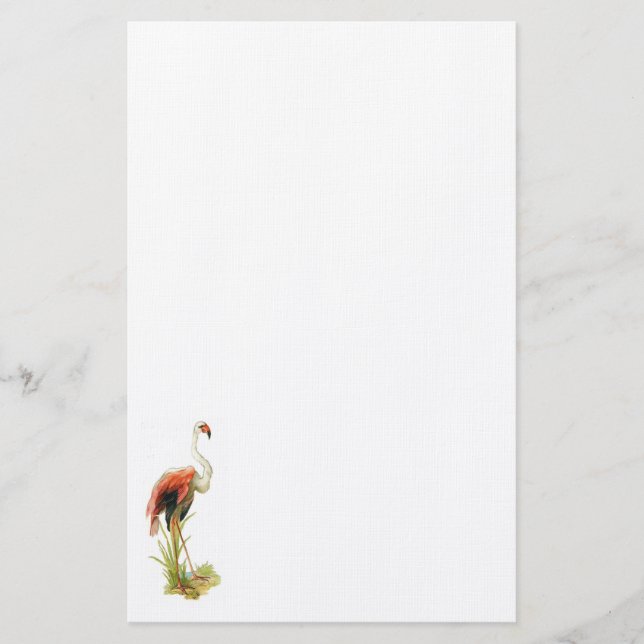 Stationär vintage för Flamingo (Framsida)