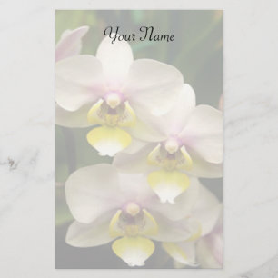 Stationära Orchids Brevpapper