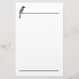 Stationery - Blue Jay Brevpapper