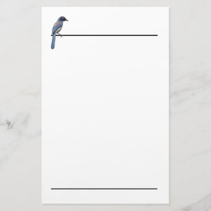 Stationery - Blue Jay Brevpapper