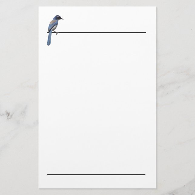 Stationery - Blue Jay Brevpapper (Framsida)