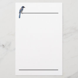 Stationery - Blue Jay Brevpapper