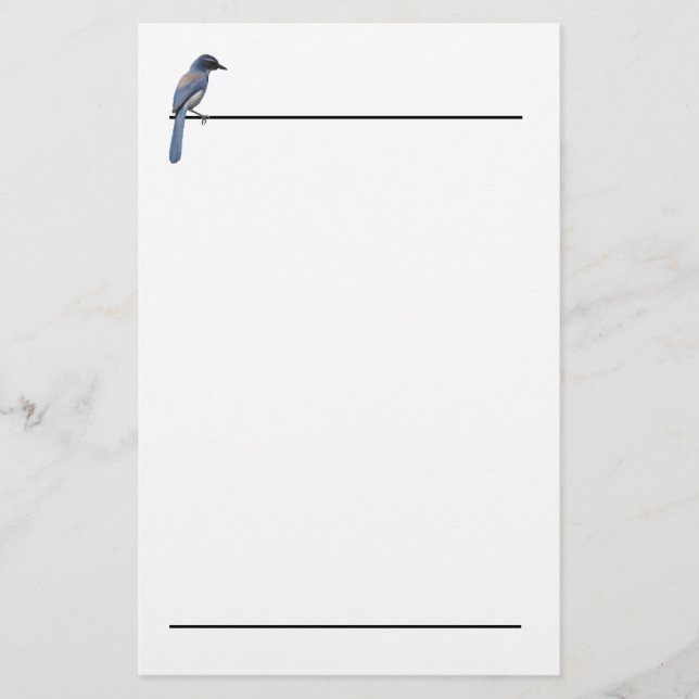 Stationery - Blue Jay Brevpapper (Framsida)