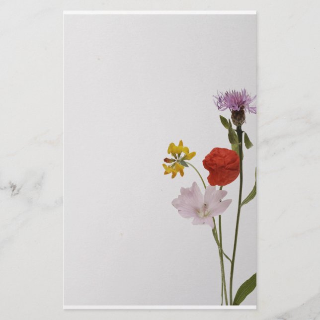 Stationery colorful flowers brevpapper (Framsida)