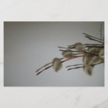 Stationery Lakan (PussyWillows) RFPMDesigns ©️ 201