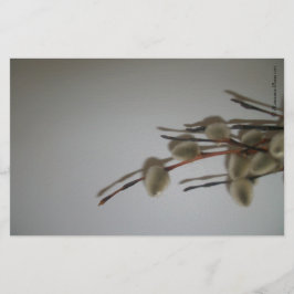 Stationery Lakan (PussyWillows) RFPMDesigns ©️ 201 Brevpapper