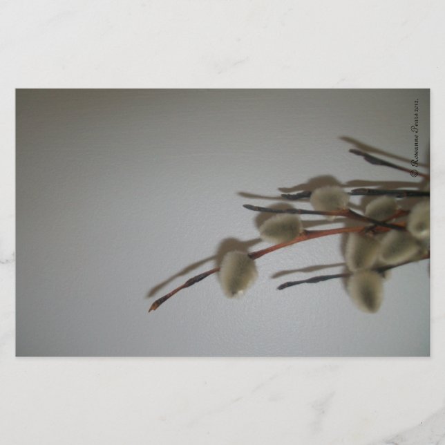 Stationery Lakan (PussyWillows) RFPMDesigns ©️ 201 Brevpapper (Framsida)