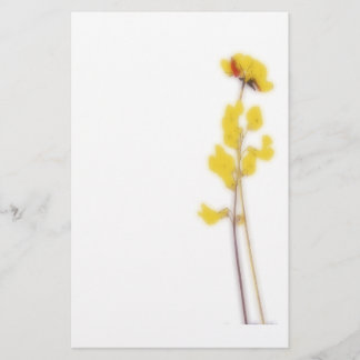 Stationery with yellow flowers brevpapper