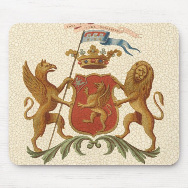 Statiskt Heraldic Badge med Griffin och Lejont Musmatta (Framsidan)