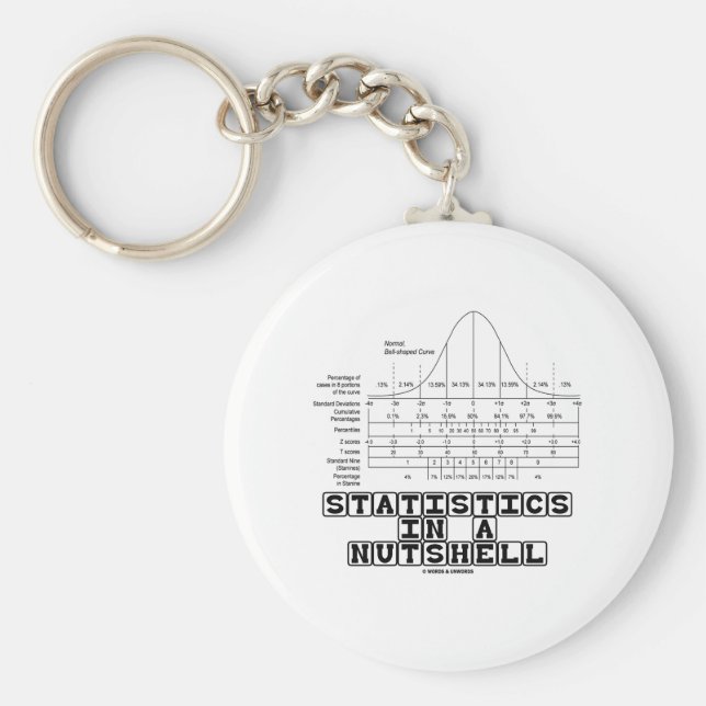 Statistik i ett Nutshell (Stats Chost Lakan) Nyckelring (Framsidan)