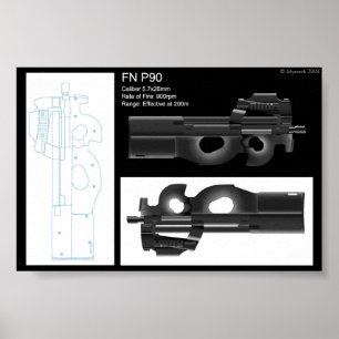 Statistik-lakan för FN P90 Poster
