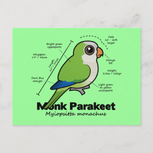 Statistik över parakeet munk vykort