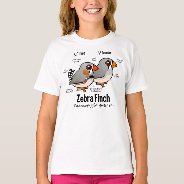 Statistik över Zebra Finch T-shirt (Framsida)