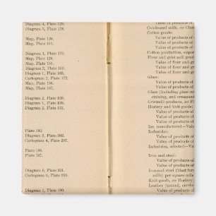 Statistisk atlas 1900 9 magnet