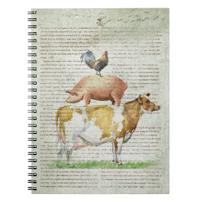 Stativ B1.tif för lantgård NOB11 Anteckningsbok (Framsidan)