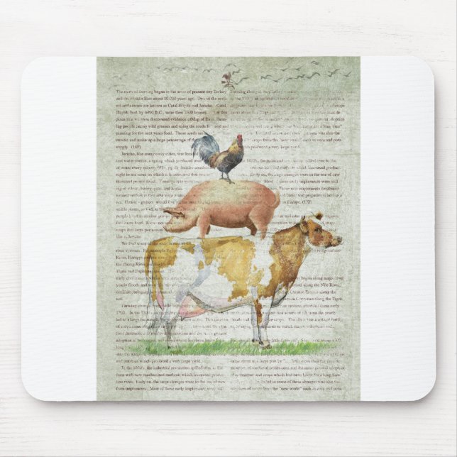 Stativ B1.tif för lantgård NOB11 Musmatta (Framsidan)