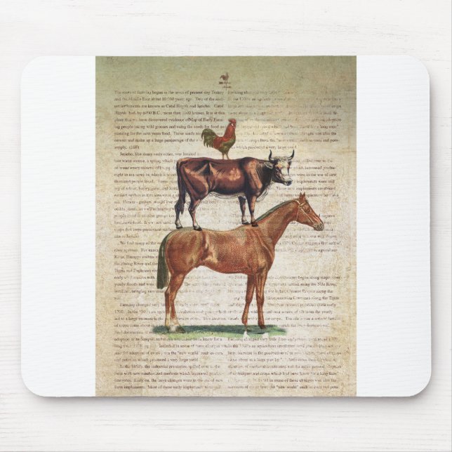 Stativ C1.tif för lantgård NOB12 Musmatta (Framsidan)