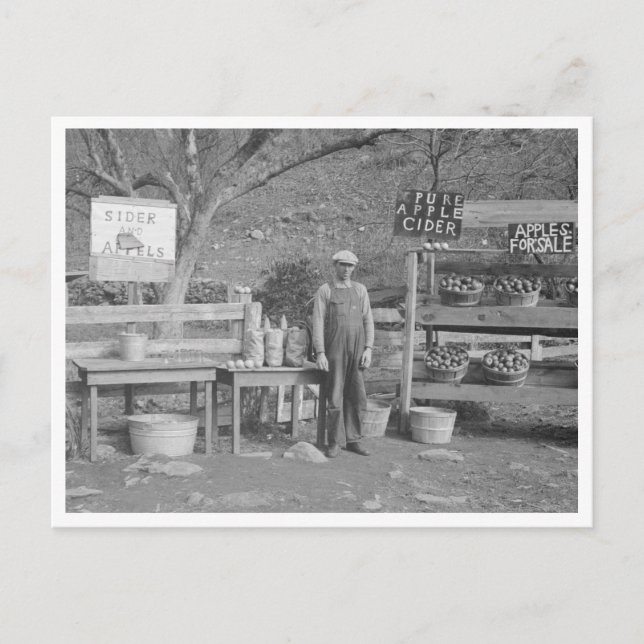 Stativ för cider och äpple vykort (Framsida)