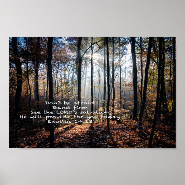 Stativ - poster (Framsidan)