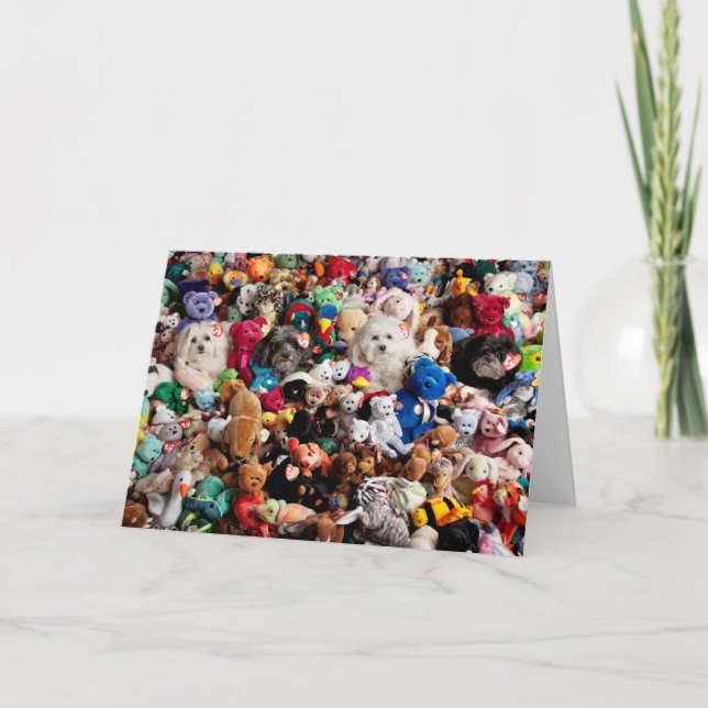 Stativ ut kort (Framsida)