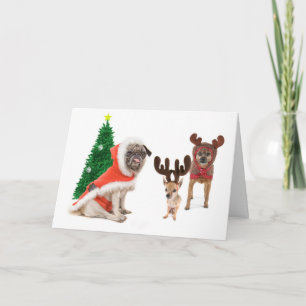 Stativinsen Helgkort