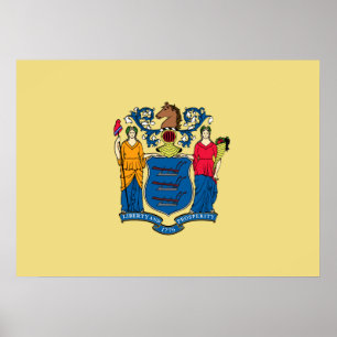 Statlig flagga av nytt - jersey poster