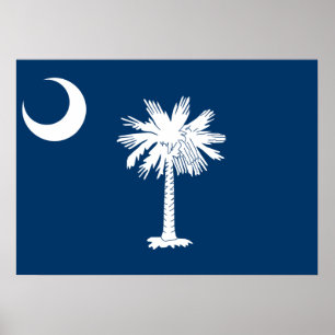 Statlig flagga av South Carolina Poster