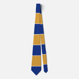 Statlig flagga Färg i Massachusetts Slips