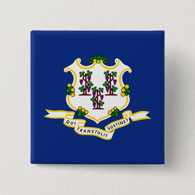 Statlig flagga i Connecticut Knapp (Framsida)