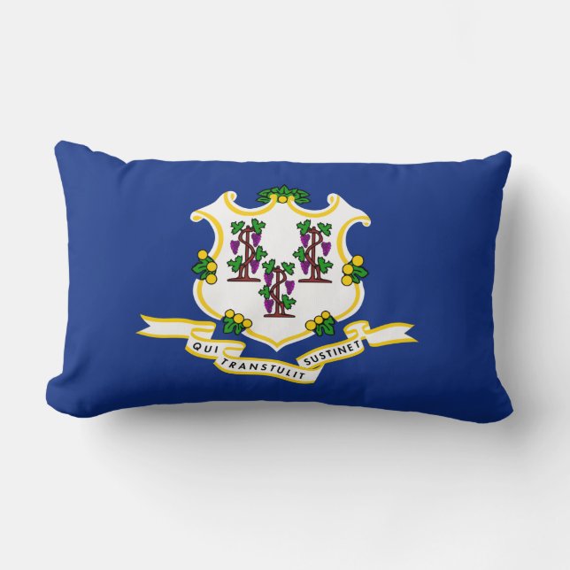 Statlig flagga i Connecticut Lumbarkudde (Framsida)