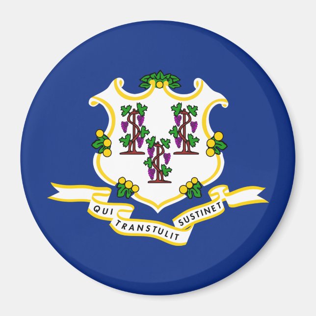 Statlig flagga i Connecticut Magnet (Framsidan)