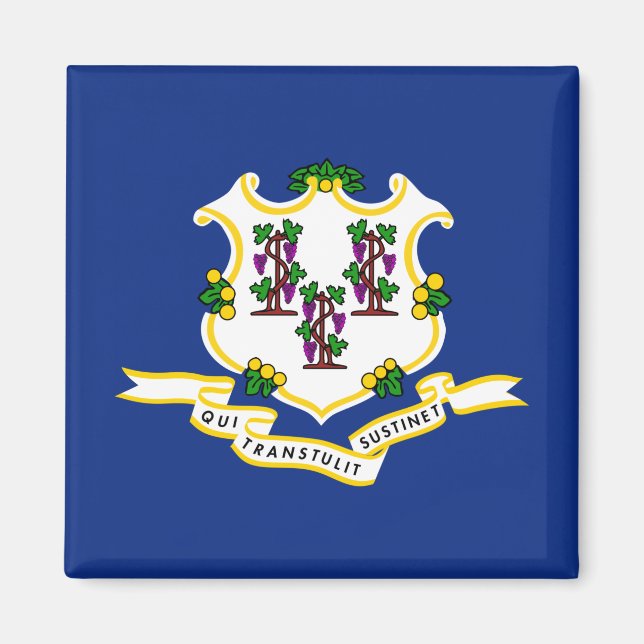 Statlig flagga i Connecticut Magnet (Framsidan)
