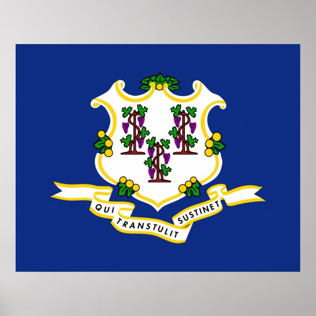 Statlig flagga i Connecticut Poster (Framsidan)