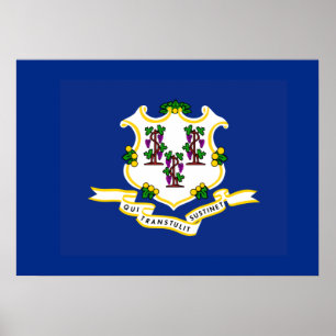 Statlig flagga i Connecticut Poster