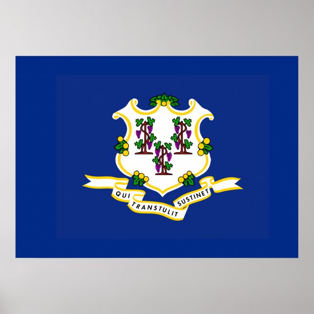 Statlig flagga i Connecticut Poster (Framsidan)